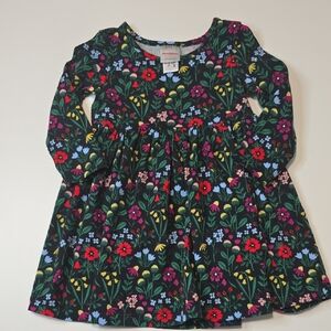 Hanna Andersson Multicolor Floral Long Sleeve Dress